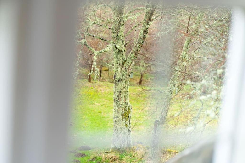 Westerpark Cottage, Pet & Family Friendly Countryside Retreat, Aberdeenshire Huntly