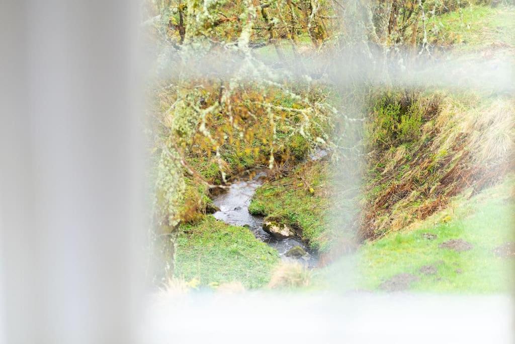 Westerpark Cottage, Pet & Family Friendly Countryside Retreat, Aberdeenshire *